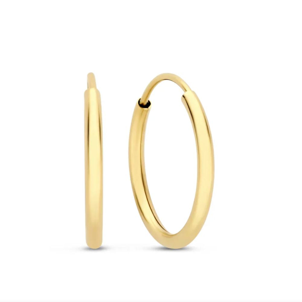 Noémie Gold Earrings