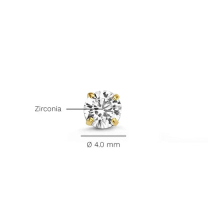 Classic Gold Stud Earrings